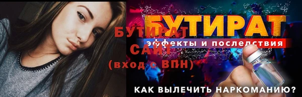 сатива Коряжма