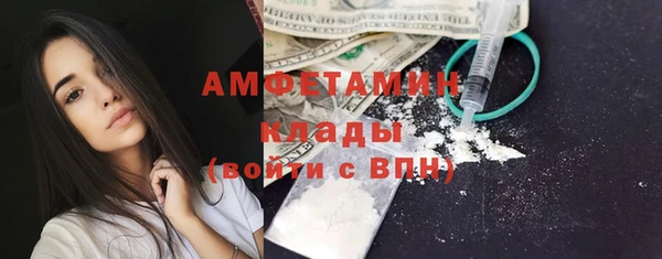 шишки Корсаков
