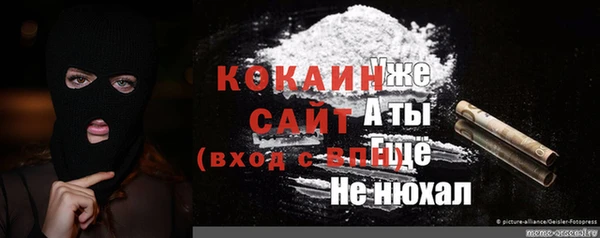 шишки Корсаков