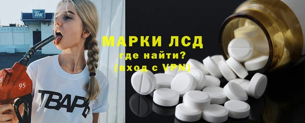 шишки Корсаков