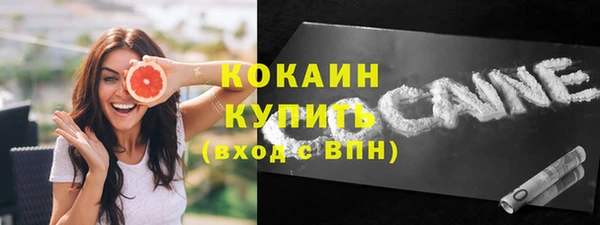 шишки Корсаков