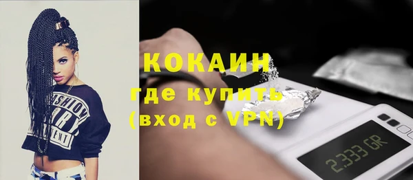 шишки Корсаков
