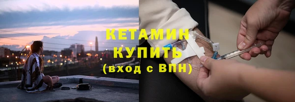 сатива Коряжма