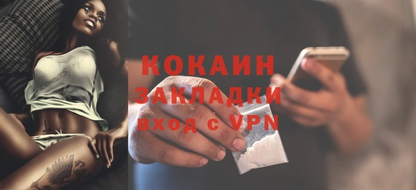 сатива Коряжма
