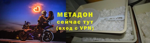 шишки Корсаков