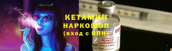 сатива Россошь
