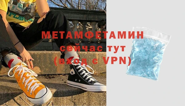 сатива Коряжма