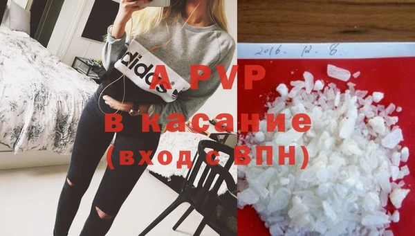 шишки Корсаков