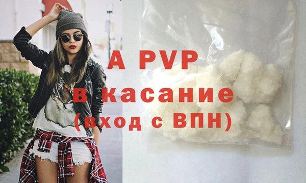 сатива Коряжма