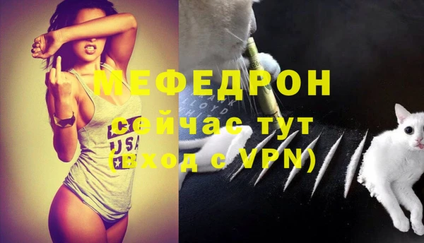 шишки Корсаков