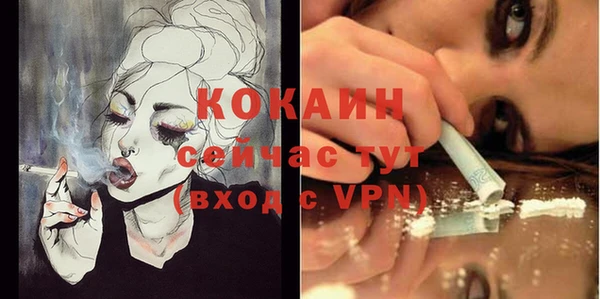 сатива Коряжма