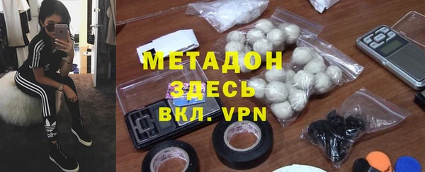 шишки Корсаков