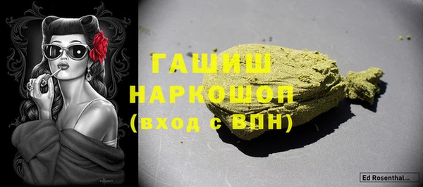 сатива Коряжма